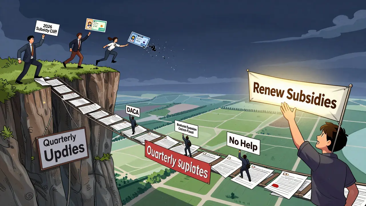 People falling off a cliff labeled '2026 Subsidy Cliff' as a bridge of policy documents leads to hope beyond the gap.